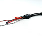 Dual Belay ESC